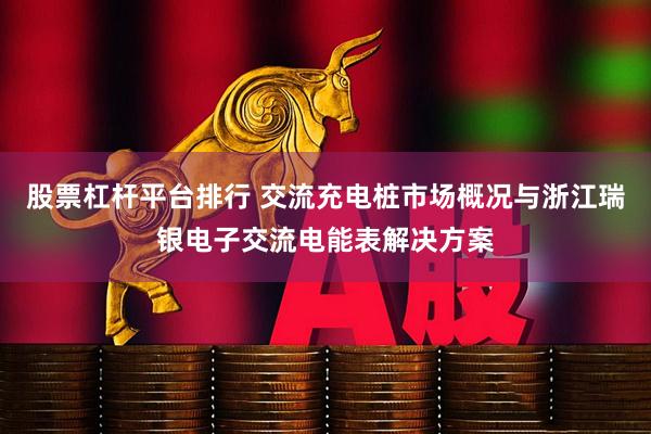 股票杠杆平台排行 交流充电桩市场概况与浙江瑞银电子交流电能表解决方案