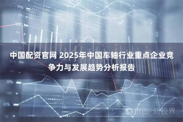 中国配资官网 2025年中国车轴行业重点企业竞争力与发展趋势分析报告