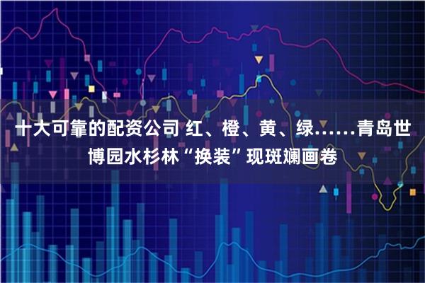 十大可靠的配资公司 红、橙、黄、绿……青岛世博园水杉林“换装”现斑斓画卷